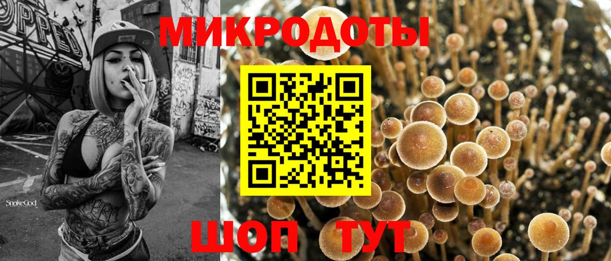 Ефремов  купить наркоту  Вход с VPN  Галлюциногенные грибы мухоморы 