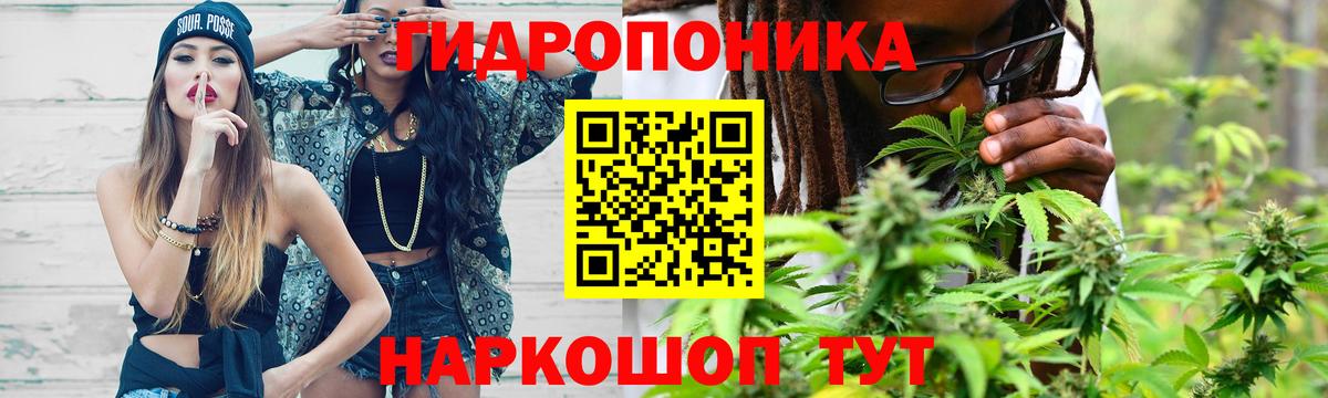 Марихуана Amnesia  Бошки марихуана White Widow  Ефремов  Вход с VPN  Канабис OG Kush  Бошки Шишки семена 